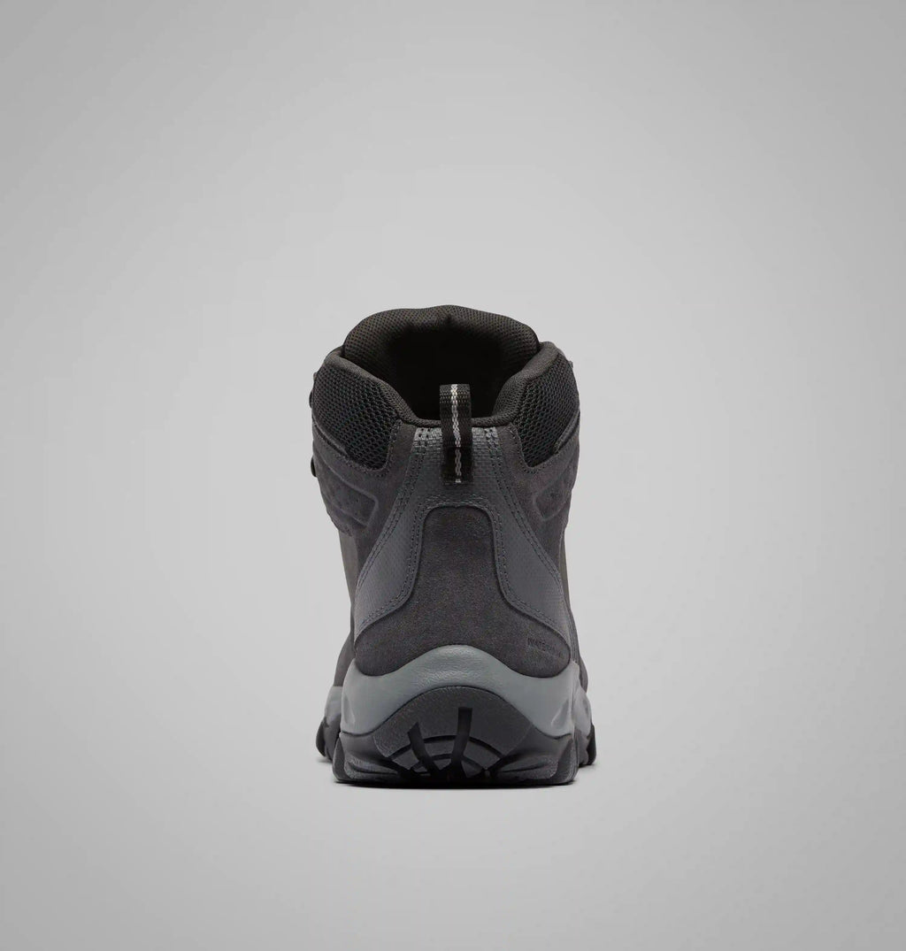 Men's Newton Ridge Plus II Suede Waterproof Hiking Boot