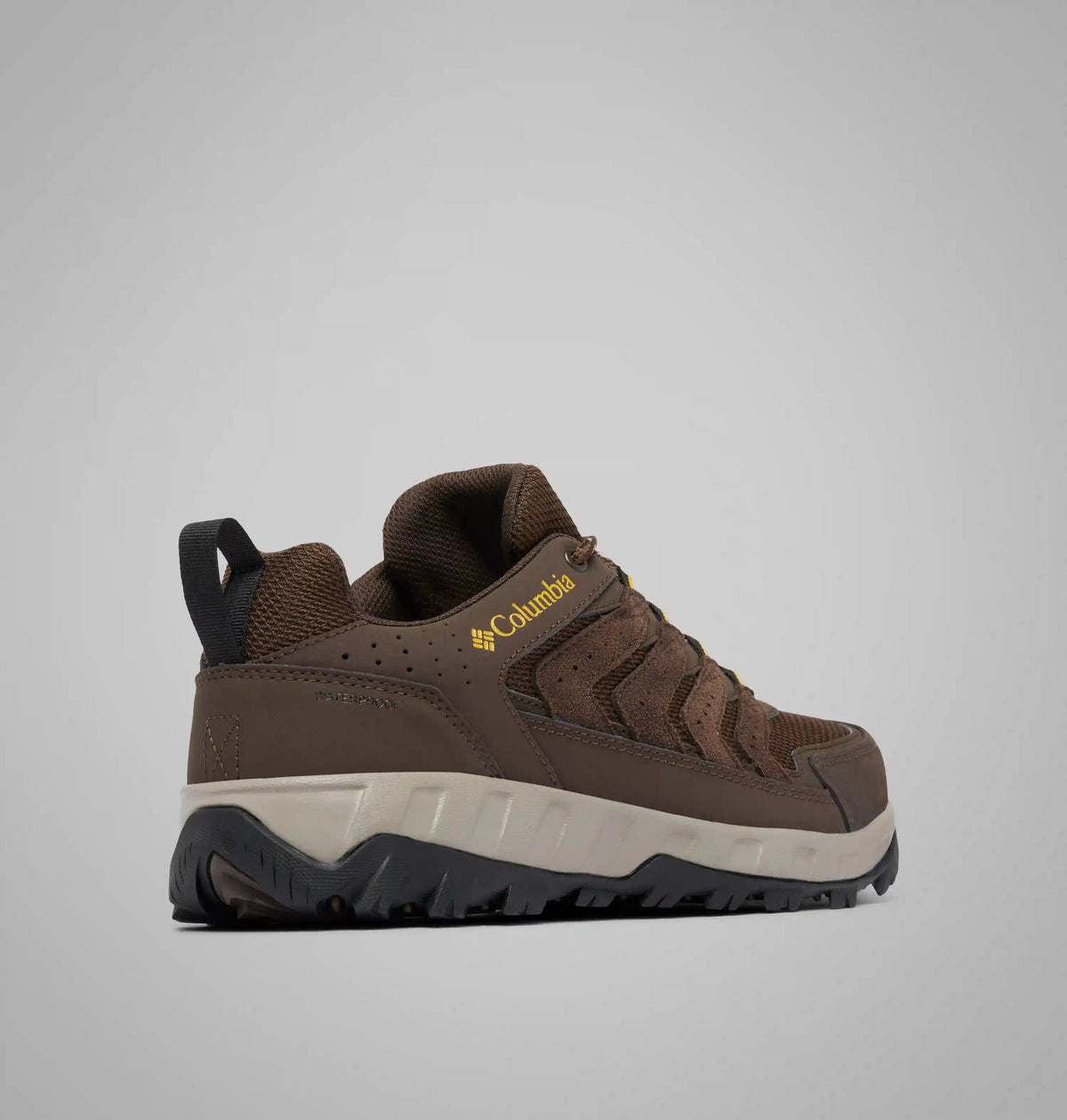 Men's Strata Trail Low Waterproof Shoe