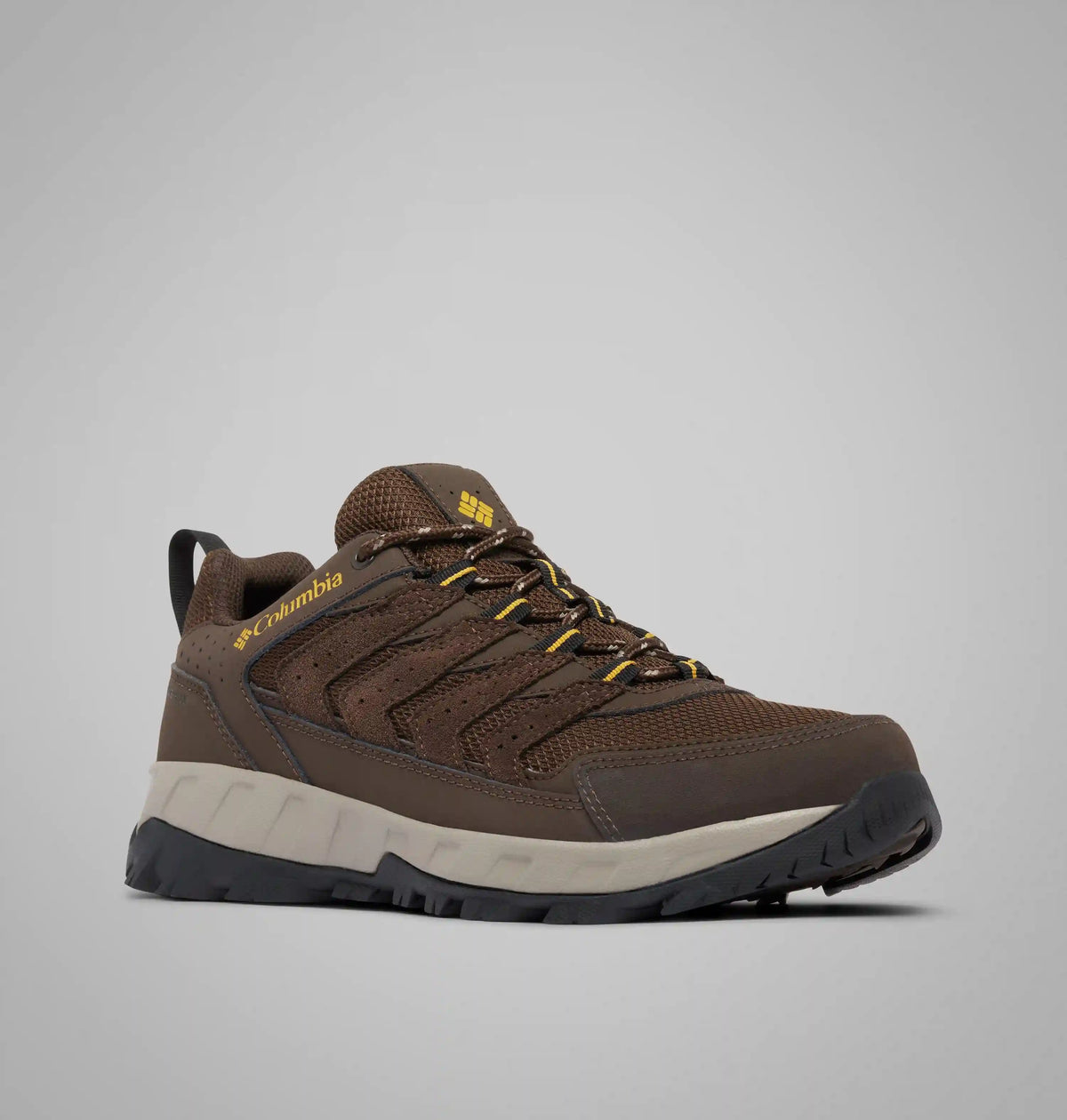 Men's Strata Trail Low Waterproof Shoe