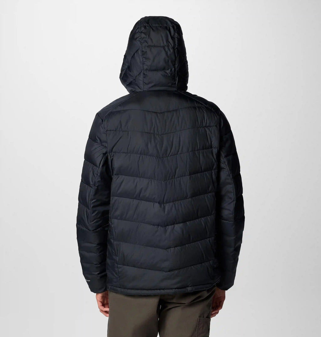 Men's Labyrinth Loop II Hooded Jacket