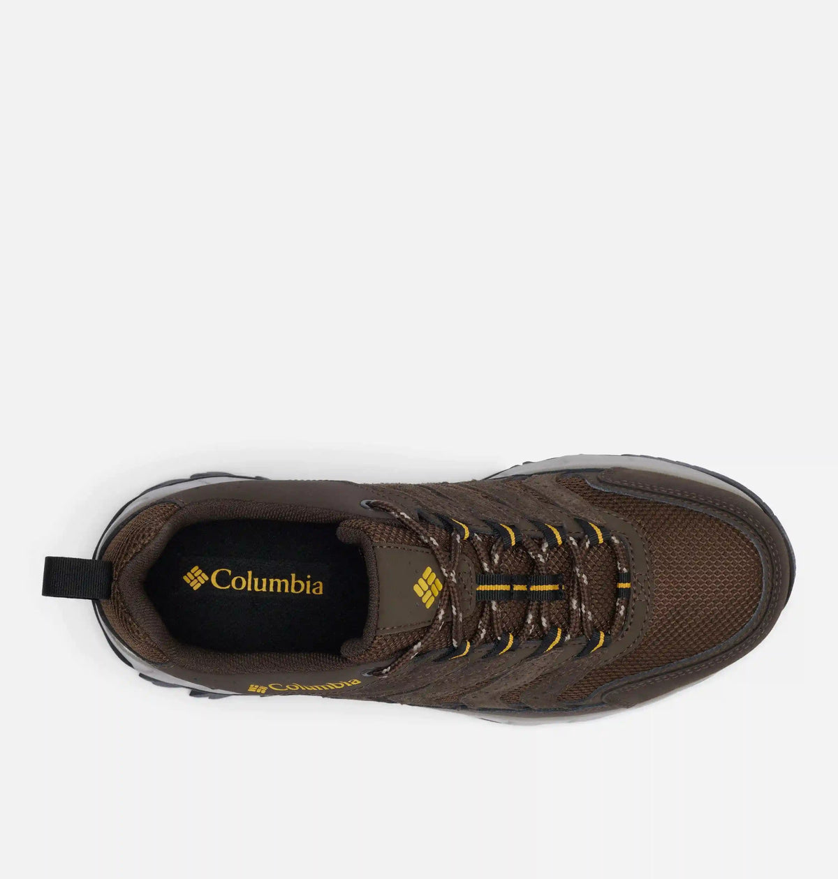 Men's Strata Trail Low Shoe