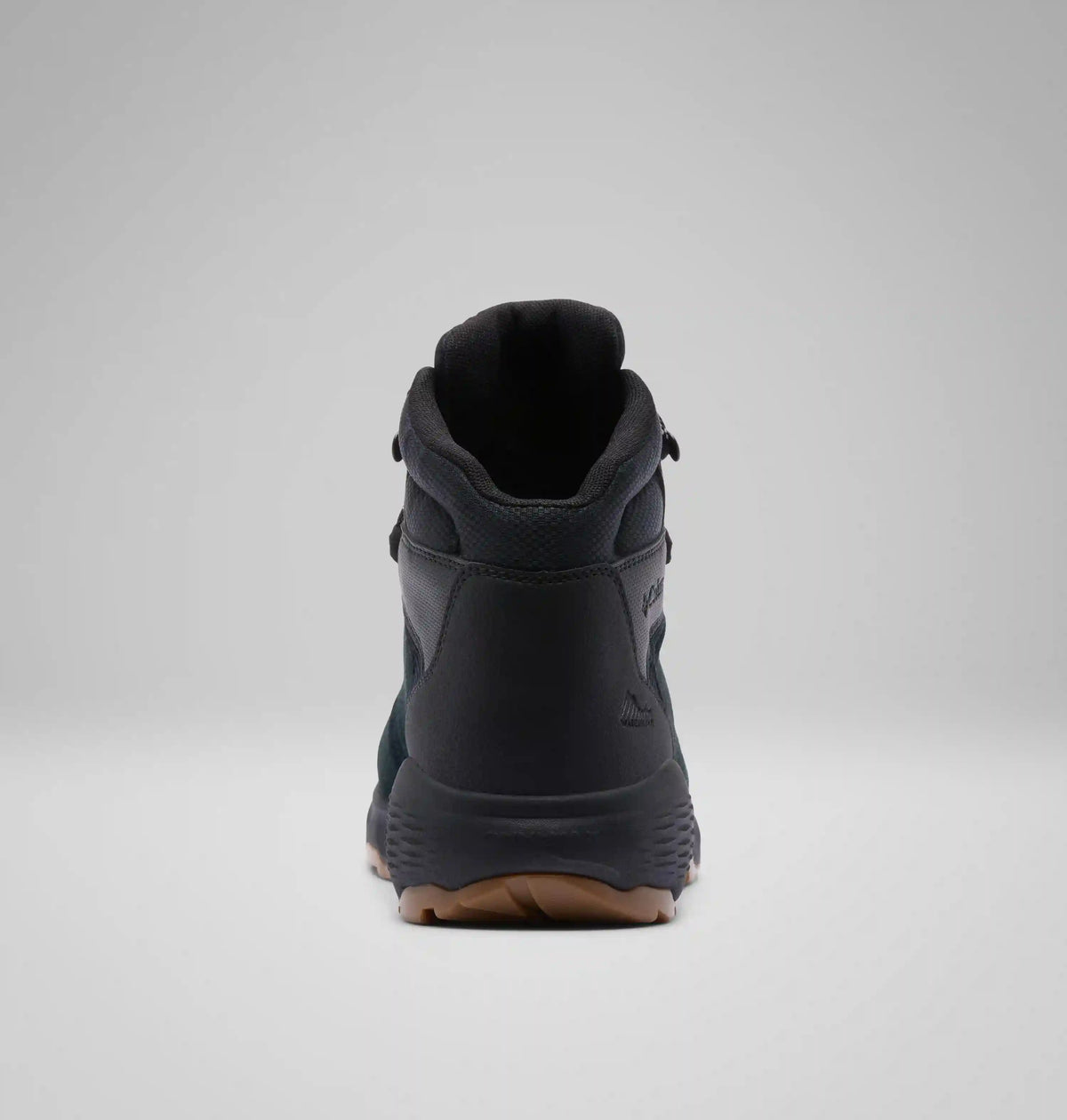 Men's Newton Wander Boot