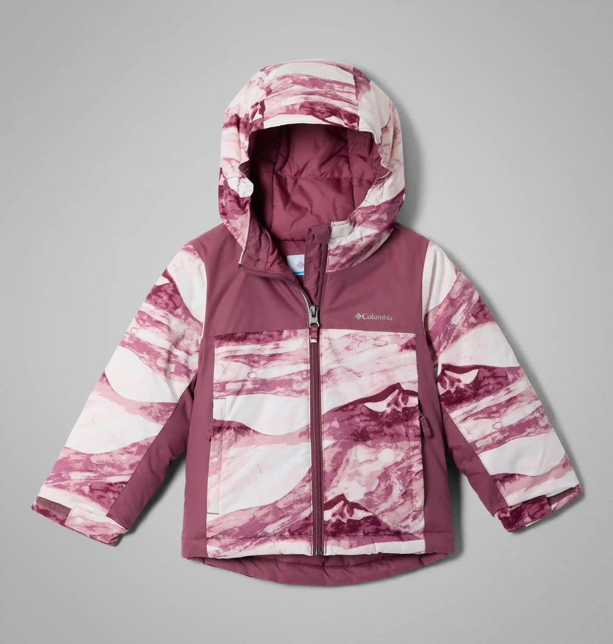 Girls' Toddler Horizon Ride IV Printed Jacket