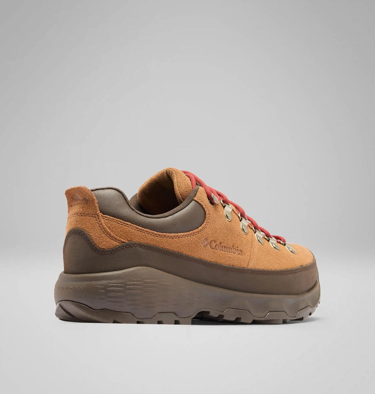 Men's Newton Alpine Low Shoe