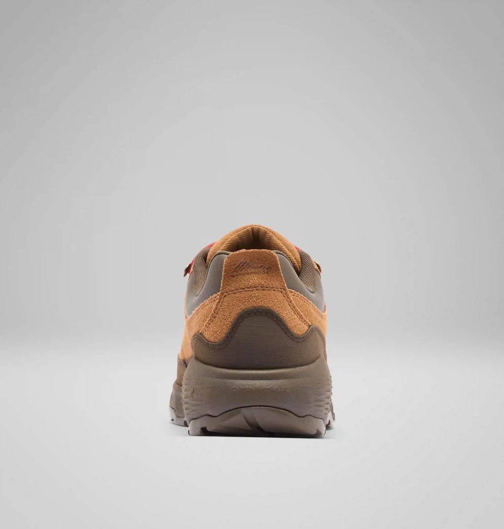 Men's Newton Alpine Low Shoe