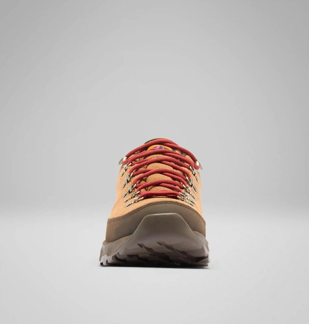 Men's Newton Alpine Low Shoe