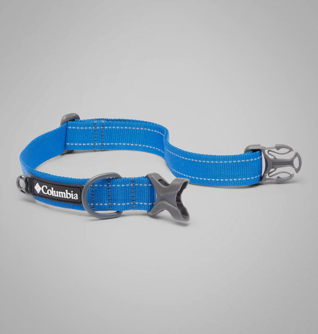 Silver Ridge Dog Collar