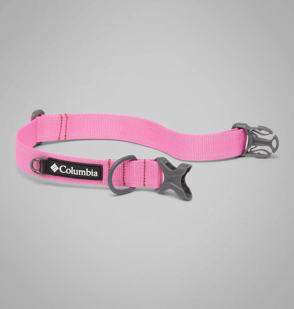 Silver Ridge Dog Collar