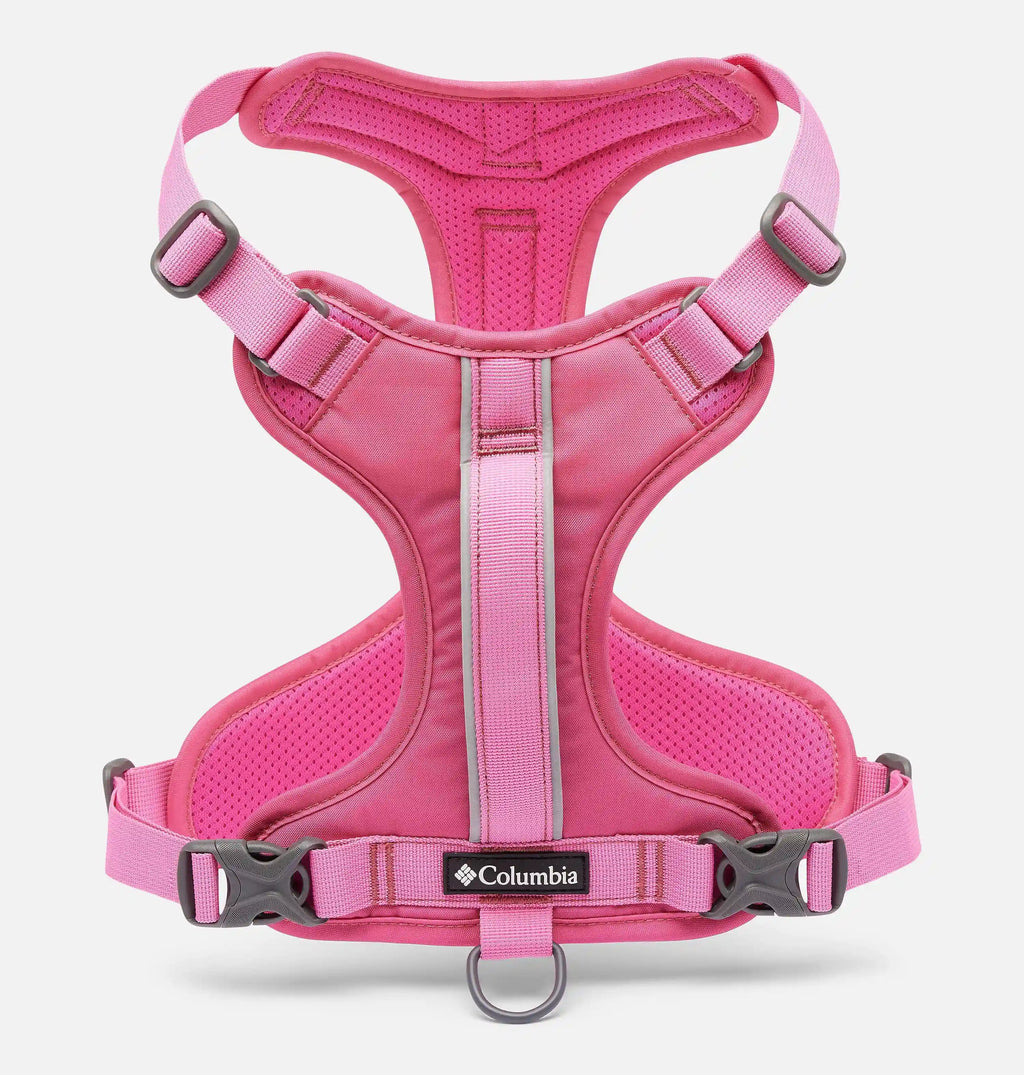 Silver Ridge Dog Harness